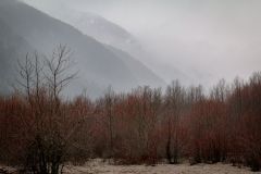 Foggy Mountains