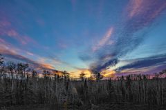 Dreamscape