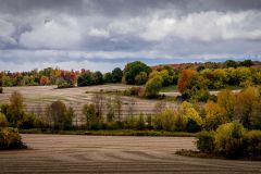 After The Harvest