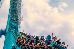 Wonderland Express