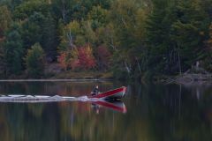 Cottage Transport