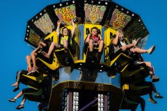 Free Fall