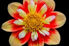 Solar Flare