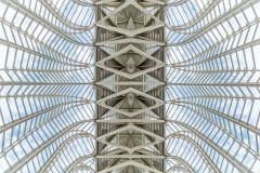 Science Museum, Valencia