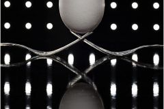 Eggact Symmetry