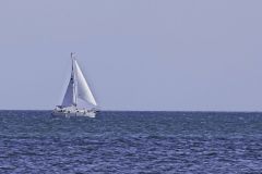 Sunny Solitude