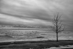 Maple and Ice