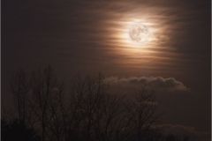Winter Moon