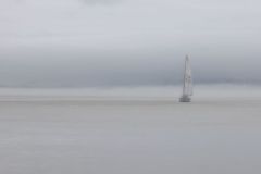 Lost in the Fog