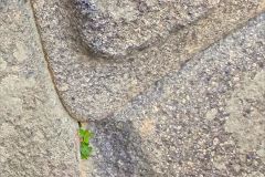 Life in the Cracks