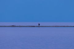 Finally a Moment all Alone