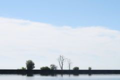 Silhouette Shoreline