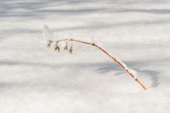 Resilience