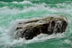 Wild Water