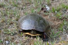 Out Of My Way