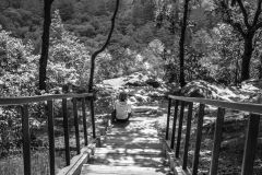 A Moment of Solitude
