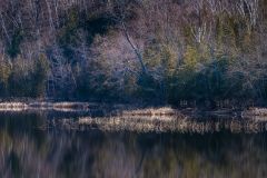 Horseshoe Lake Wetlands