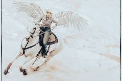Spread Your Wings