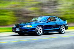 1995 Mustang