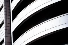 Battersea in Black