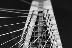 Bridge Cable Span