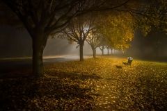 Fall Evening