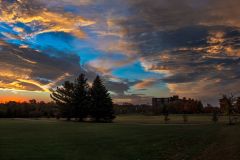 Sunrise at the Park