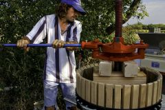 Winemaker at Work