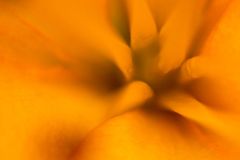 Soft Centre