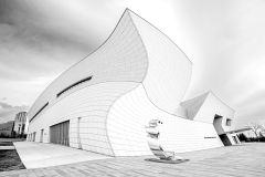 Curves of Creativity