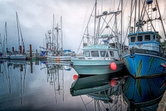 First Light at Ucluelet Harbour