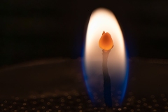 Aglow in the Dark