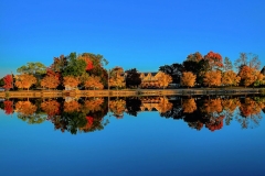 Reflections of Lakefield
