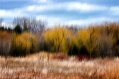 Treeline