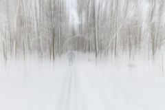 Snowjob