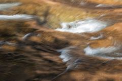 Rapids Movement