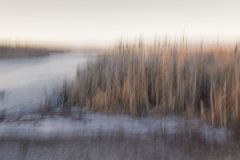 Winter Sunset in the Marsh