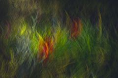 Garden Palette