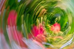 Floral Funnel