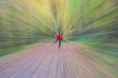 Autumn Kaleidoscope