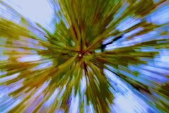 Nature's Kaleidoscope