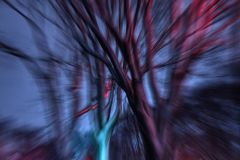 Foreboding Forest