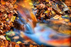 P2-Liquid-Palette-EG