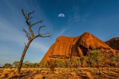 Half-Moon-over-Kata-Tjuta-Rock