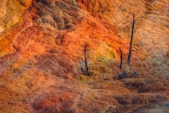 Mammoth-Springs-Mineral-Deposits