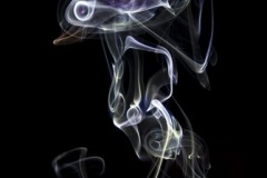 Smoke-Duck