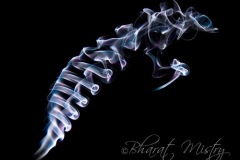 Smoke-Fossil