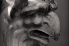 Stone-Face