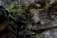 cheryl_goff-canyon_rock_walls