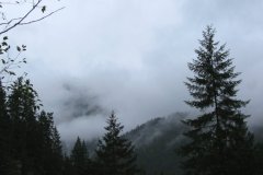 cheryl_goff-mountain_mist-263